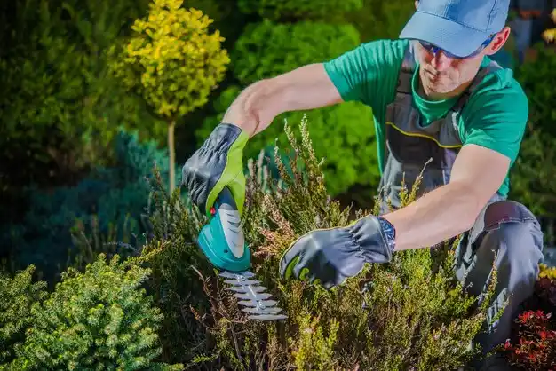 landscaping services South Williamson